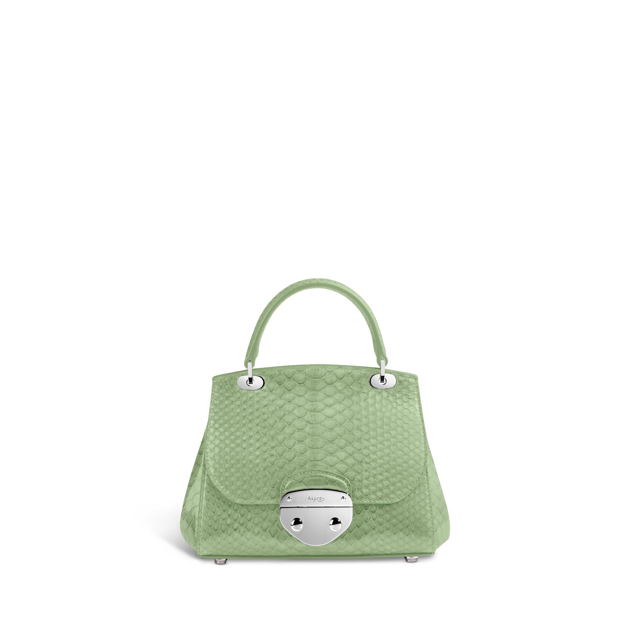 Belle Mini Handbag in Green Python